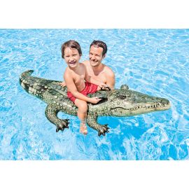 Realistische krokodil 