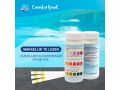 Comfortpool 3-in-1 teststrips voor zwembad of Spa 